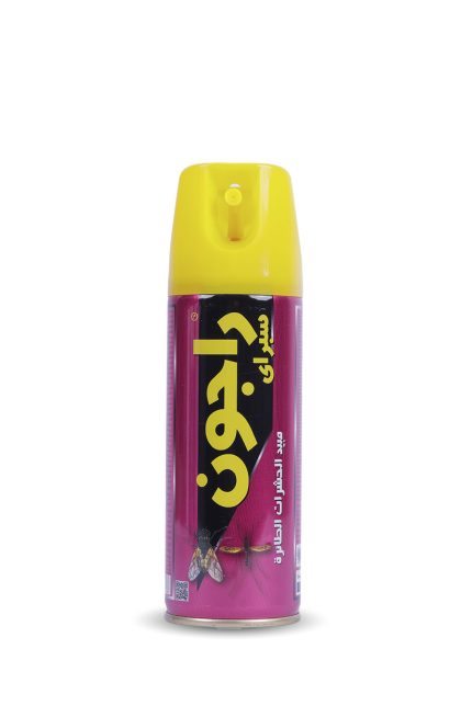 RAGON FLYING INSECTICIDE 250 ML