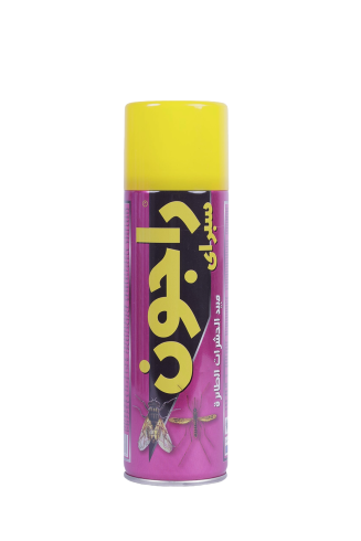 RAGON-FLYING-INSECTICIDE-300-ML